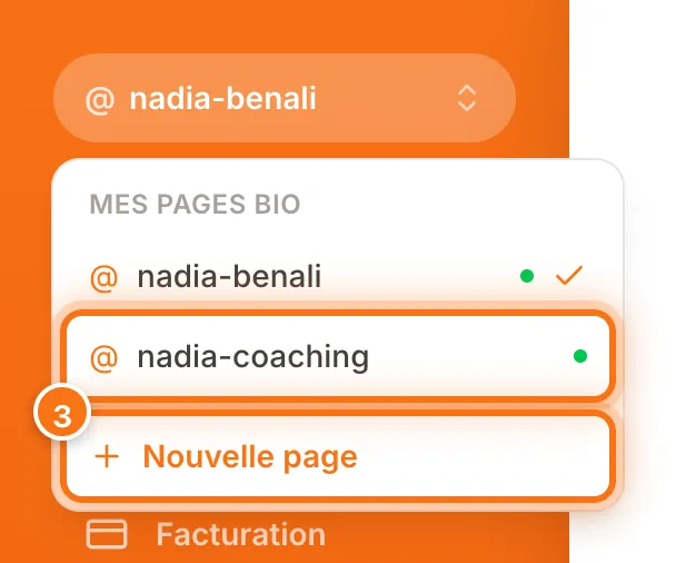 Sélecteur de pages d’un compte Pro listant deux pages bio, avec le bouton Nouvelle page mis en évidence
